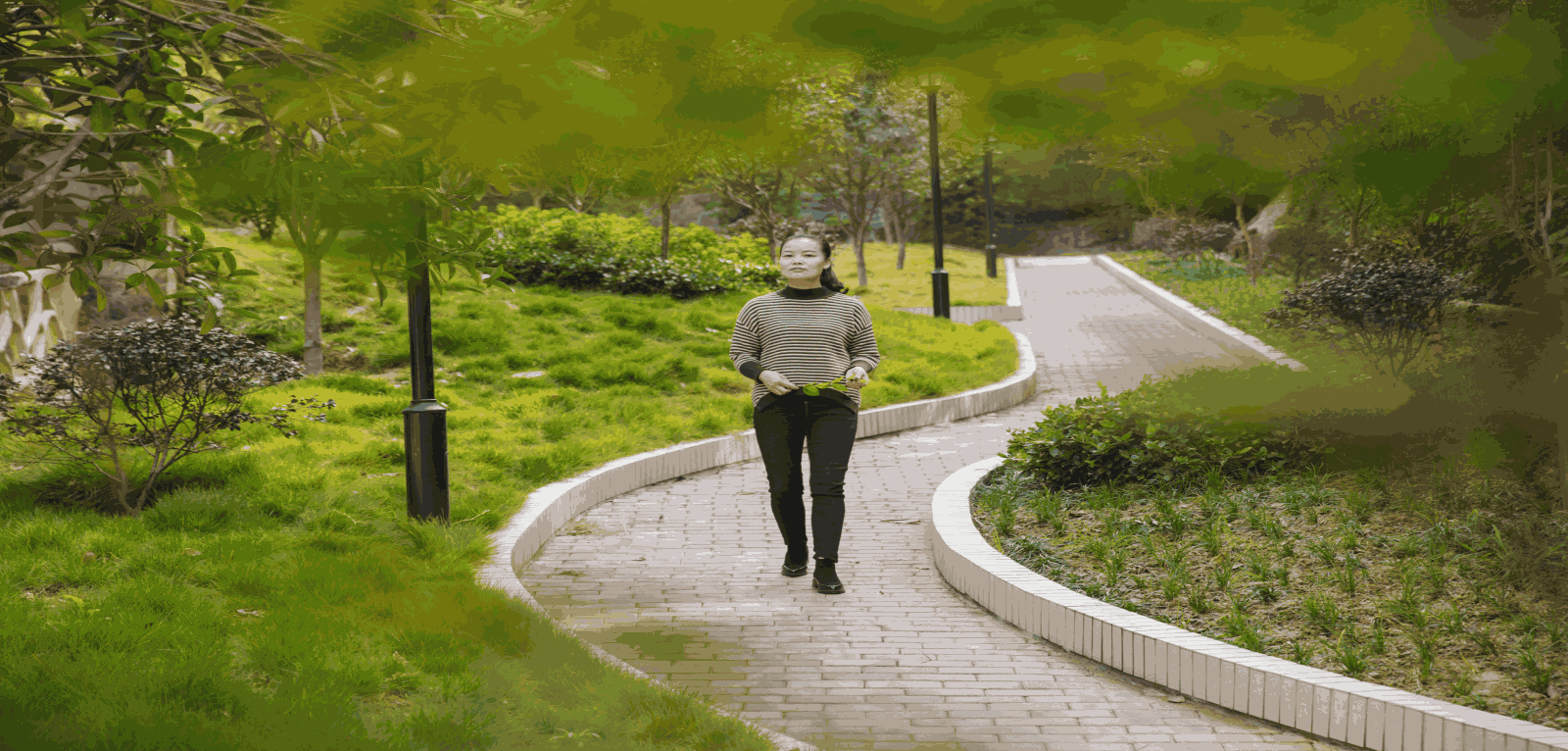 Odoo • 文字和图像